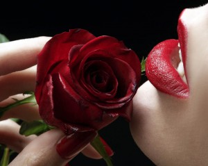 Красную розу целуют красные губы 
