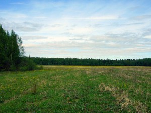 поселок Луговое 