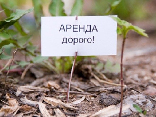 едва аукцион в сочи по аренде земли ему