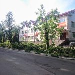 Очередная варварская вырубка пятидесятилетних деревьев прошла в Лобне