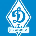 В чемпионате Московской области 2021/22 выступит МФК «Динамо Пушкино»