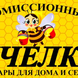 Первый в Лобне детский комиссионный магазин «Пчелка»