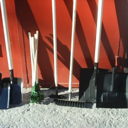 В Лобне пройдут четыре общегородских субботника