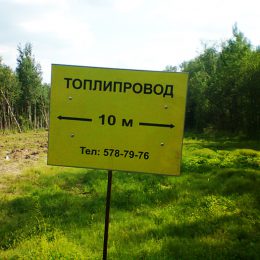 «Шереметьево» может остаться без топлива