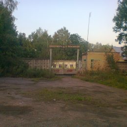 Мэр предлагает горожанам самим расчистить место под пионерлагерь в Лобне