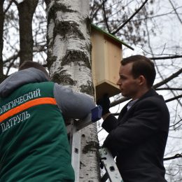 Скворцы летят на родину…