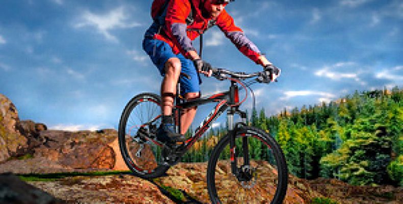 Velozona – велосипеды на любой вкус         
