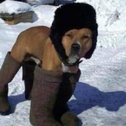 Куда обращаться в Лобне, если в квартире частично нет отопления