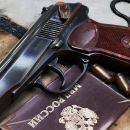 Беременную жительницу Лобни убил экс-полицейский