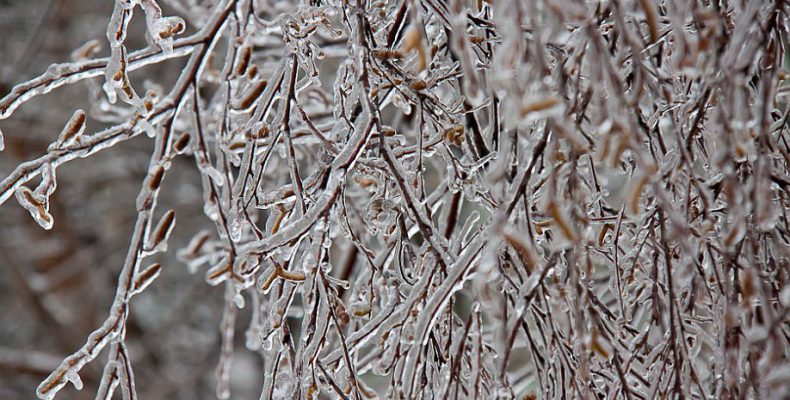 Более 2000 сообщений о последствиях ледяного дождя приняли в Лобне
