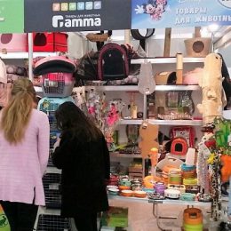 Компания «АММА»: выставки нон-стоп