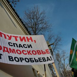 Диана Яковлева выступила за отставку губернатора