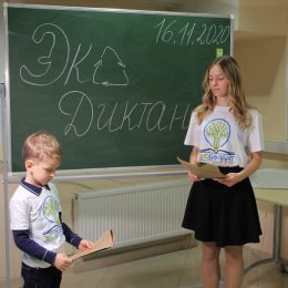Экодиктант: от здоровой окружающей среды зависит благополучие детей
