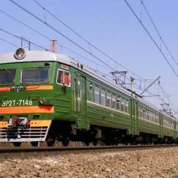В Лобне под колесами электрички погиб подросток, пытаясь спасти собаку