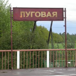 Экологическая катастрофа на Луговой обойдется виновнику в четверть миллиона рублей