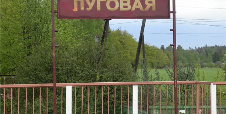 Экологическая катастрофа на Луговой обойдется виновнику в четверть миллиона рублей