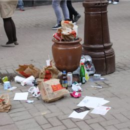 В Подмосковье будут штрафовать тех, кто бросает мусор в урны