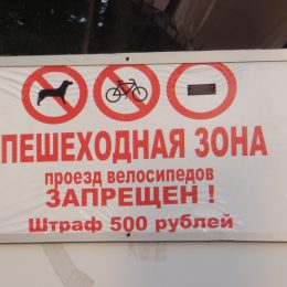 В Лобне проходит несанкционированный общегородской флеш-моб