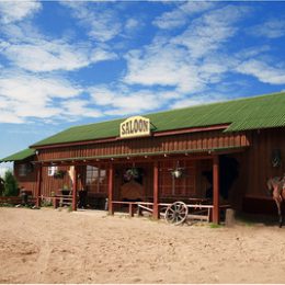 Wild Western Festival 2013 пройдет в Подмосковье