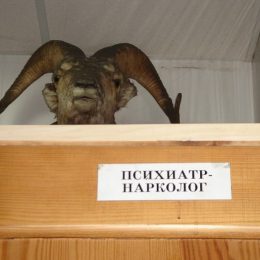 Прокуратура нашла 82 лобненца, которые стоят на учете у нарколога, но имеют водительские права