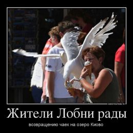 Лобнянские демотиваторы. Сборник №1