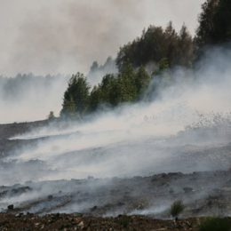 Дым от горящих торфяников в Конаково накрыл Лобню