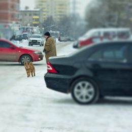 Как жители Лобни не обращают внимание на мороз и ветер