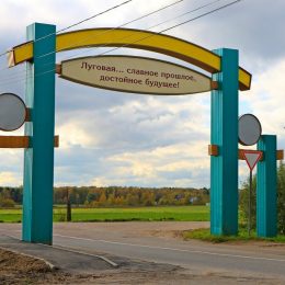 Над полями Луговой опять нависла угроза застройки, активисты пишут Путину