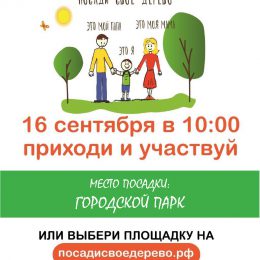 Почти 19 тысяч деревьев посадят в Лобне 16 сентября