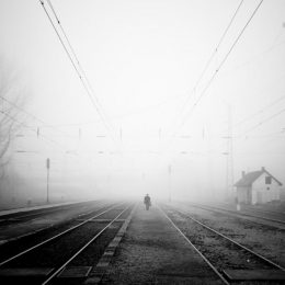 Ко Дню города Лобню представят в трех ипостасях