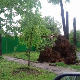 Погибший в ураган в Лобне мужчина был пенсионером-дачником из Москвы