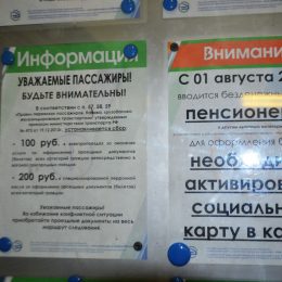 Четверть жителей Лобни смогут ездить на электричке бесплатно