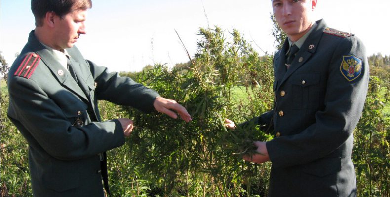 Есь чо?: В Леон пришли наркоконтроллеры