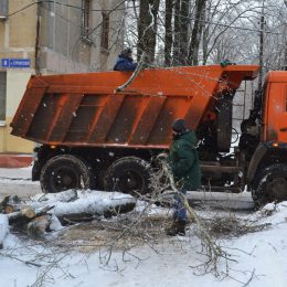Ледяной дождь повалил в Лобне более двухсот деревьев
