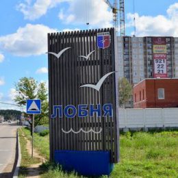 В Лобне мало медучреждений, детсадов и спортивных объектов