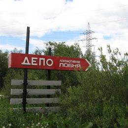 В Лобне ревнивец зарезал экс-жену, ранил ее ухажера и покончил с собой