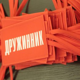 Мэр Лобни будет патрулировать улицы города как дружинник