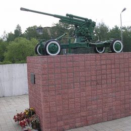 Из пушки по чайкам