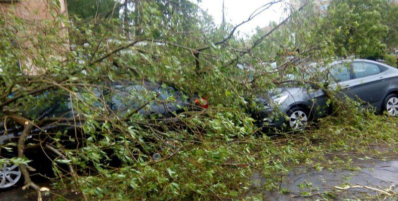 Ураган повредил в Лобне восемь автомобилей, два из них восстановлению не подлежат