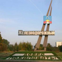 В Железнодорожном состоялся общественный форум «Объединение: за и против»