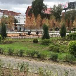 22 сентября в парке города Лобня откроется новый сквер