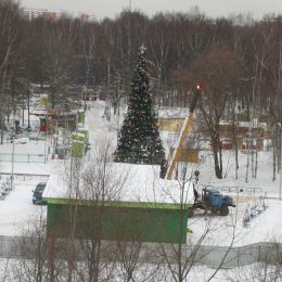 В Лобне главная елка города простояла шесть недель
