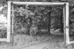 DSC08100