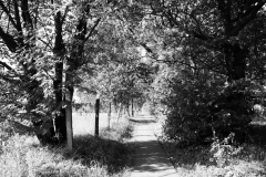 DSC08108
