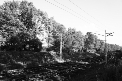 DSC08111