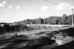 DSC08118