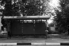DSC08210