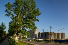 DSC05819