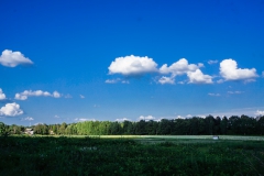 DSC08135