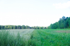 DSC08140